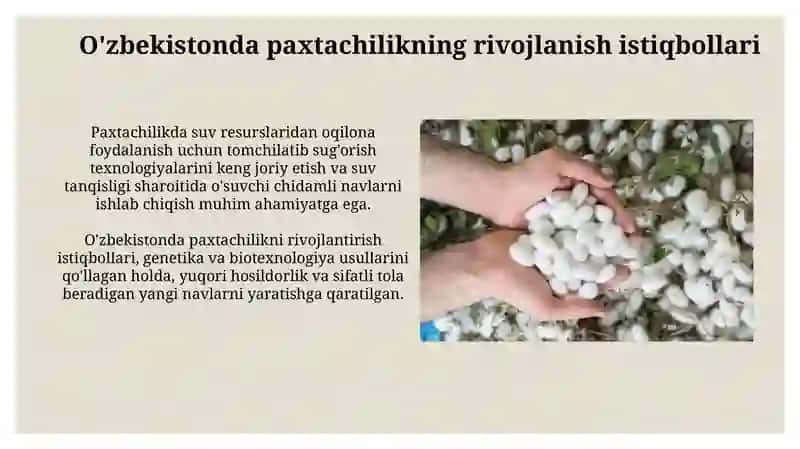 Don navi seleksiyasining asosiy yo'nalishi 4