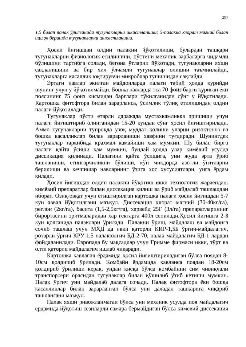Картошка ҳосилни йиғиштириш 4