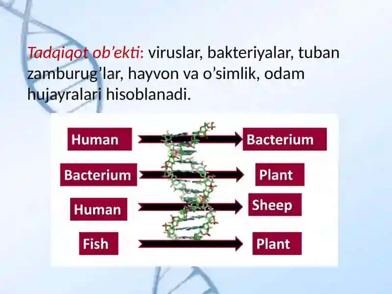 Gen muhandisligi fanining rivojlanish tarixi va bosqichlari 4