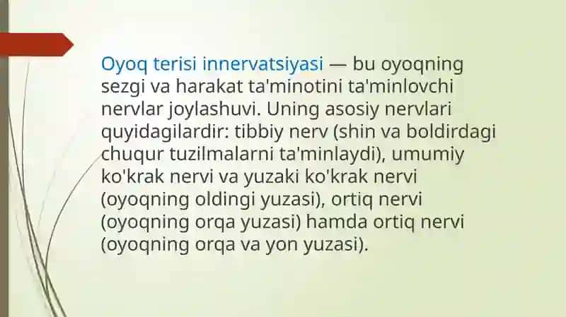 Oyoq Terisining Innervatsiyasi 4