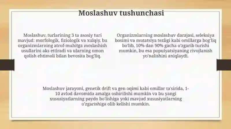 Adaptatsiya 4