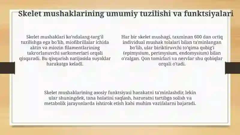 Ixtiyoriy harakat organlariga umumiy morfo-funksional tavsif 4