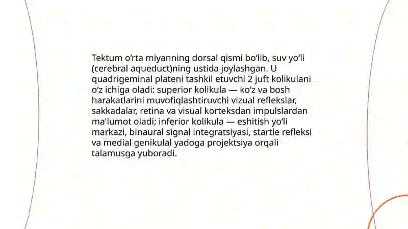 O'rta miya tuzilishi va suv yóli 4