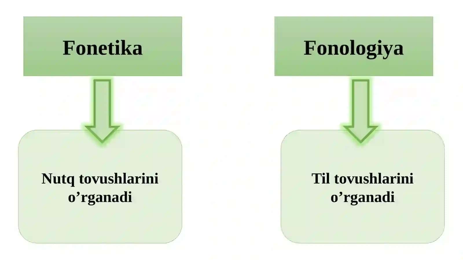 Fonetika va fonologiya. Fonema ottenkalari va ularning turlari 4