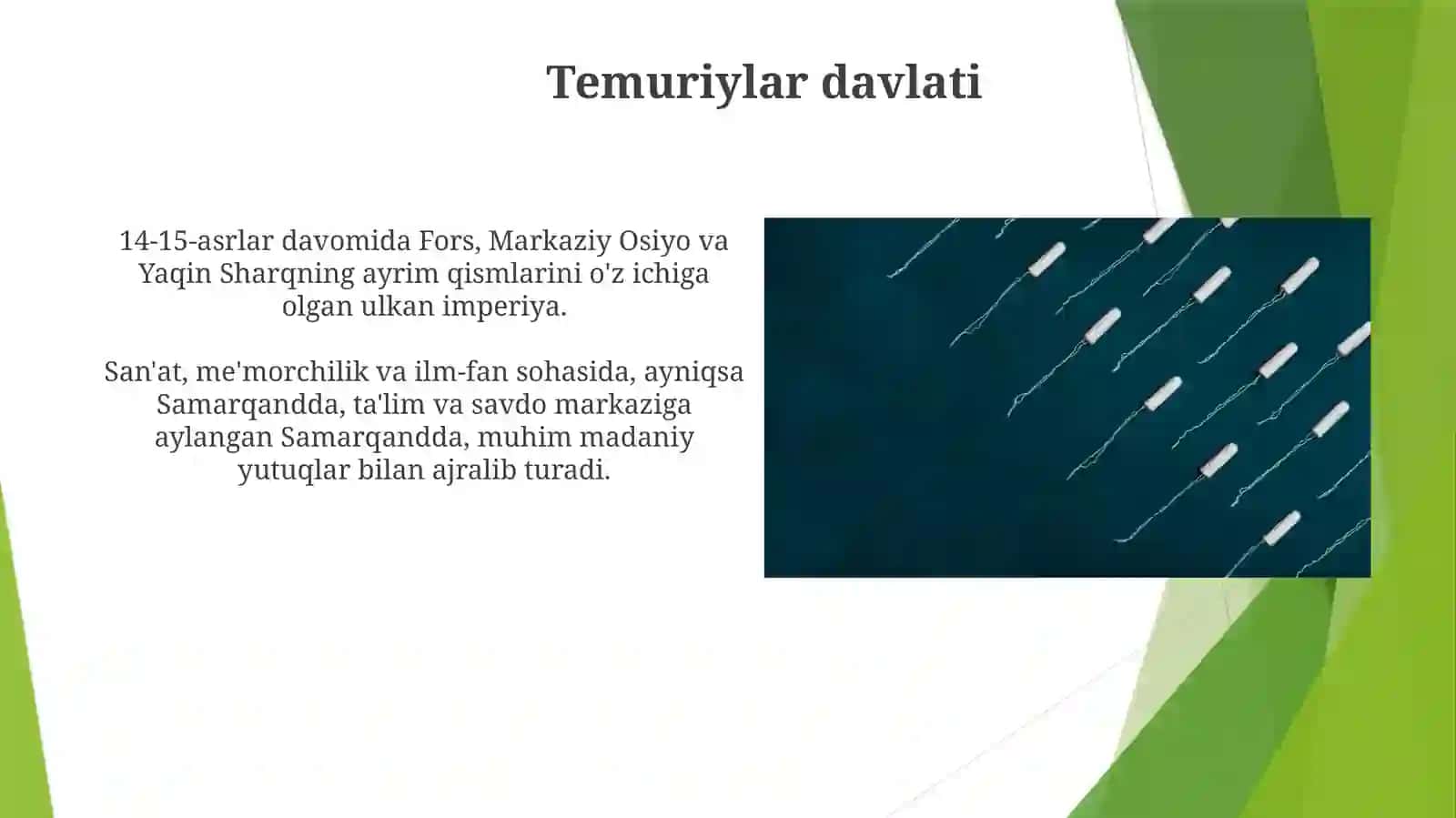 Amir Temurdavri 4