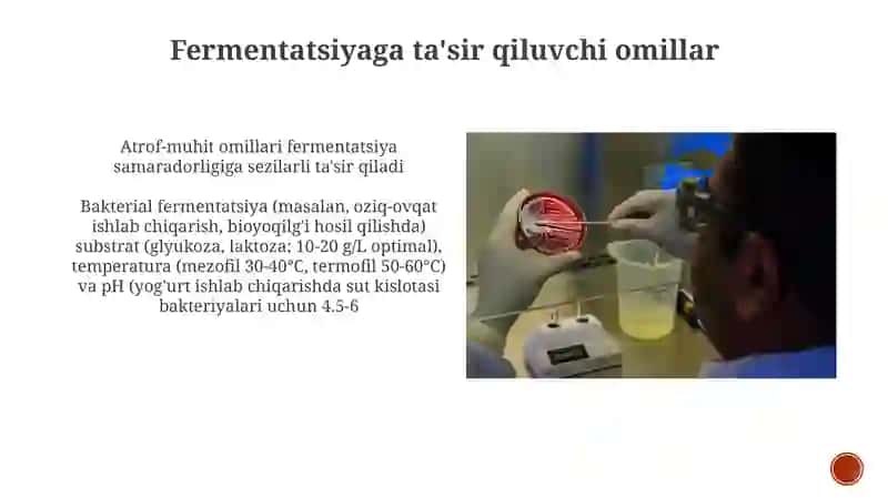Bakteriyalarda fermentativ jarayonlar 4