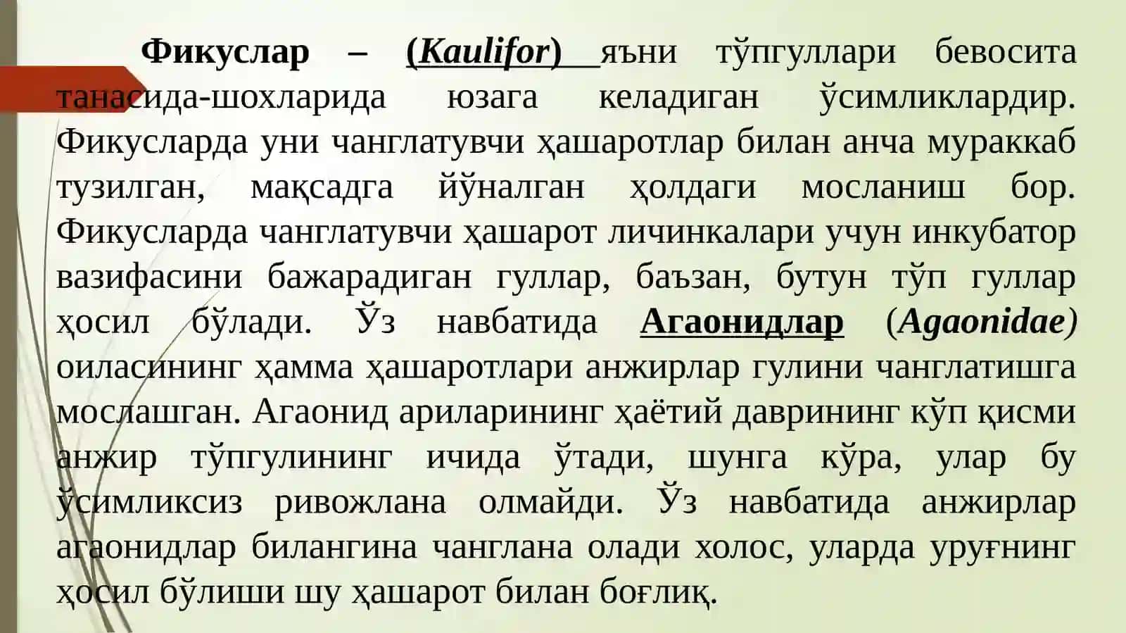 Moraceae (Тутдошлар) оиласи доривор ўсимликлари 4