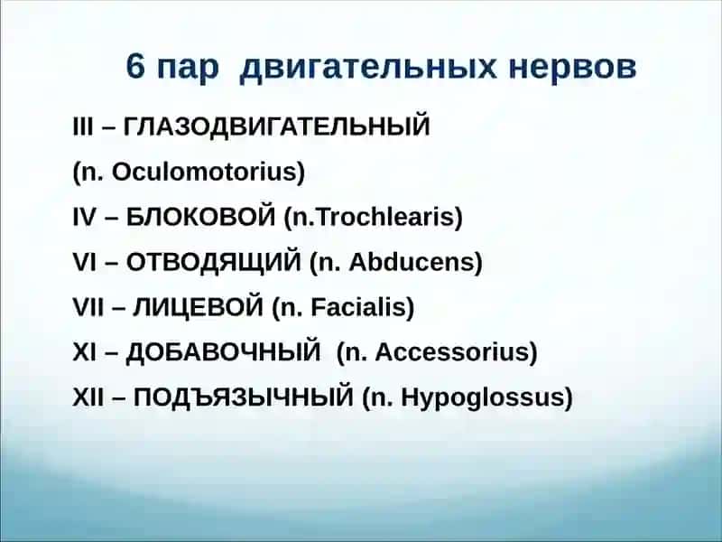 Черепные нервы 4