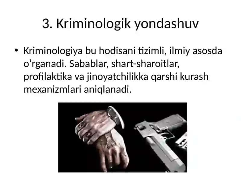 Uyushgan jinoyatchilikning kriminologik tavsifi va uning oldini olish 4