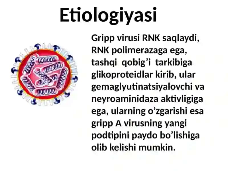GRIPP.O’RVI 4