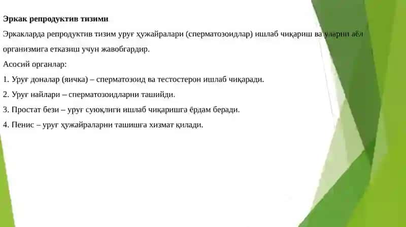 Репродуктив тизими физиологияси 4