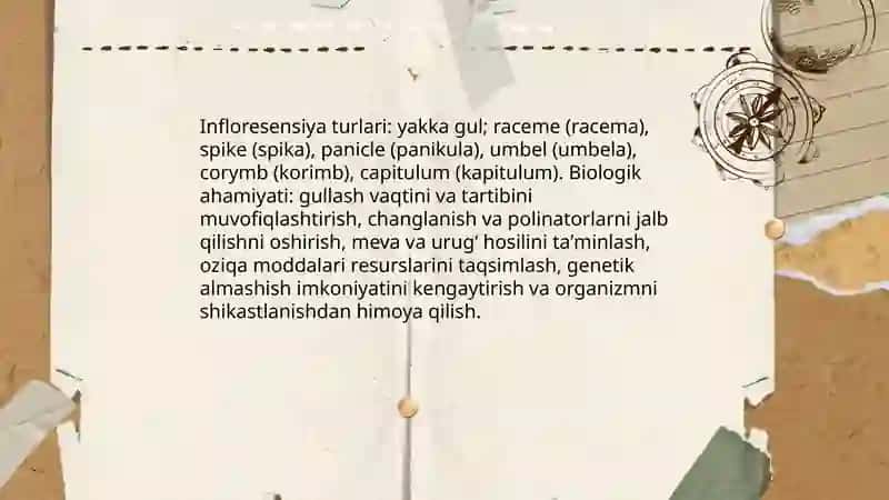 Oʻsimliklarda gullash va mevalash 4