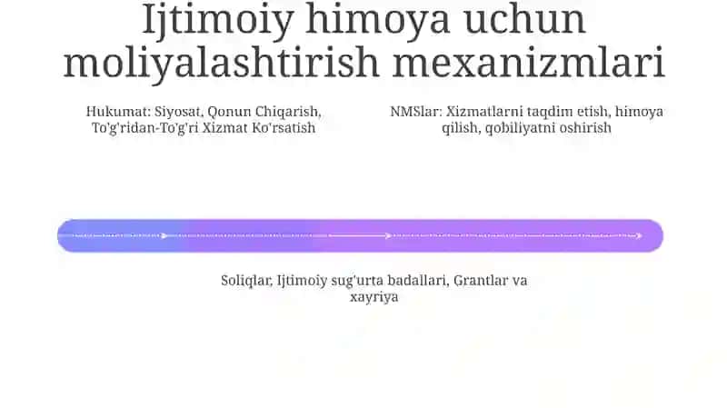 Aholini ijtimoiy himoya qilish tizimida davlat va nodavlat tashkilotlarning o'rni 4