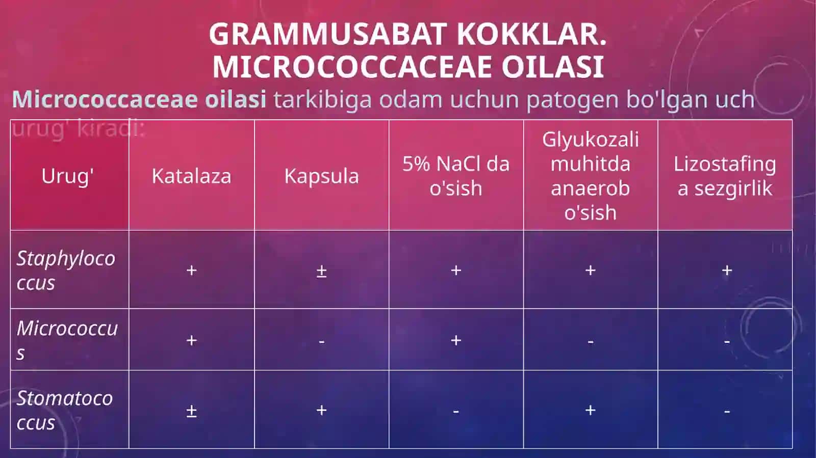 Stafilokokk, Streptokokk, pnevmokokk, meningokokk, gonokokk 4