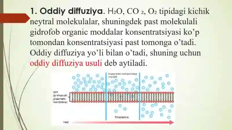 signallarni membranalar orqali oʻtkazilishi. membranalar buzilishlarni patologik jarayonni kelib chi 4