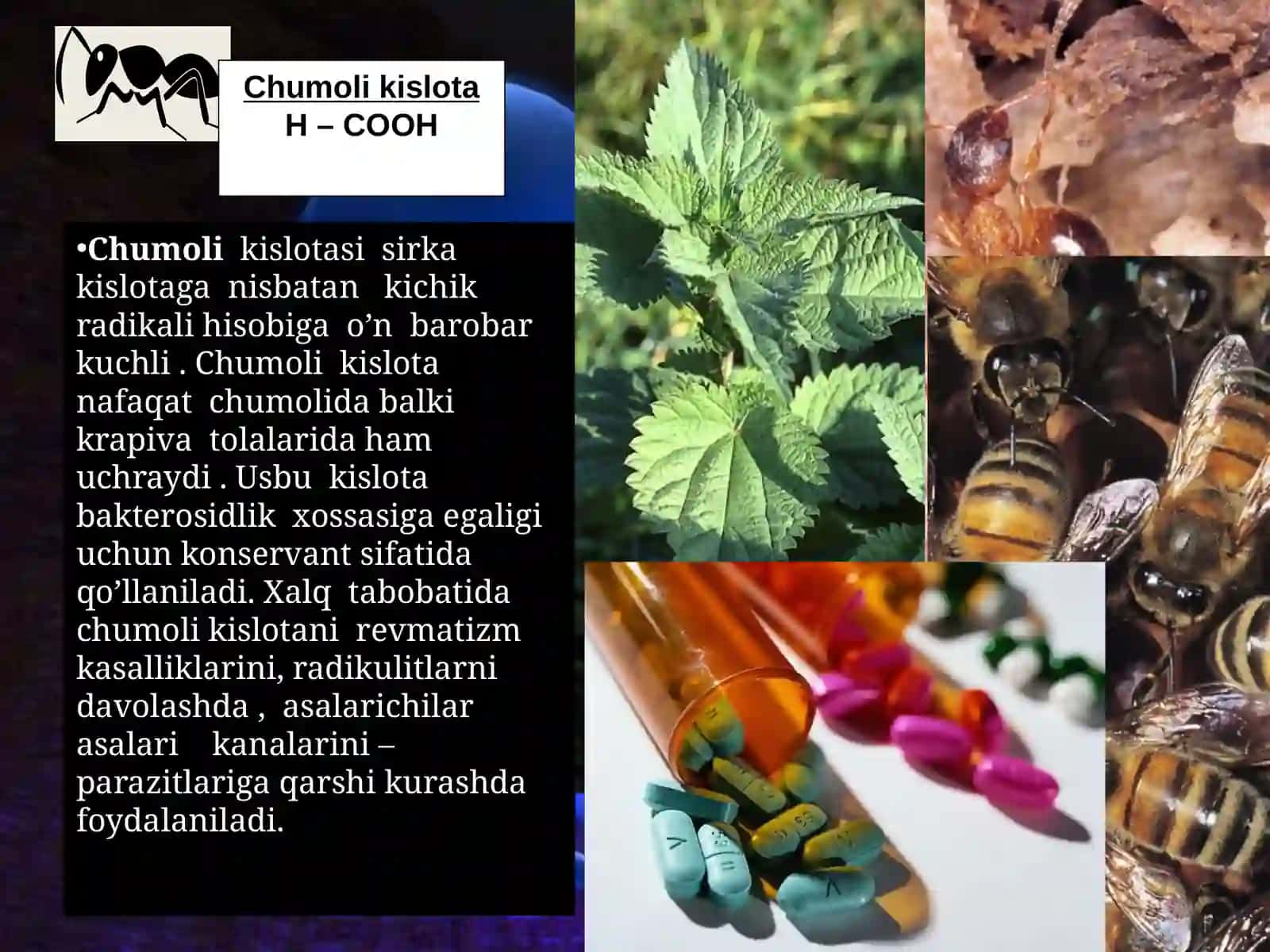 Kimyo kislotalari 4