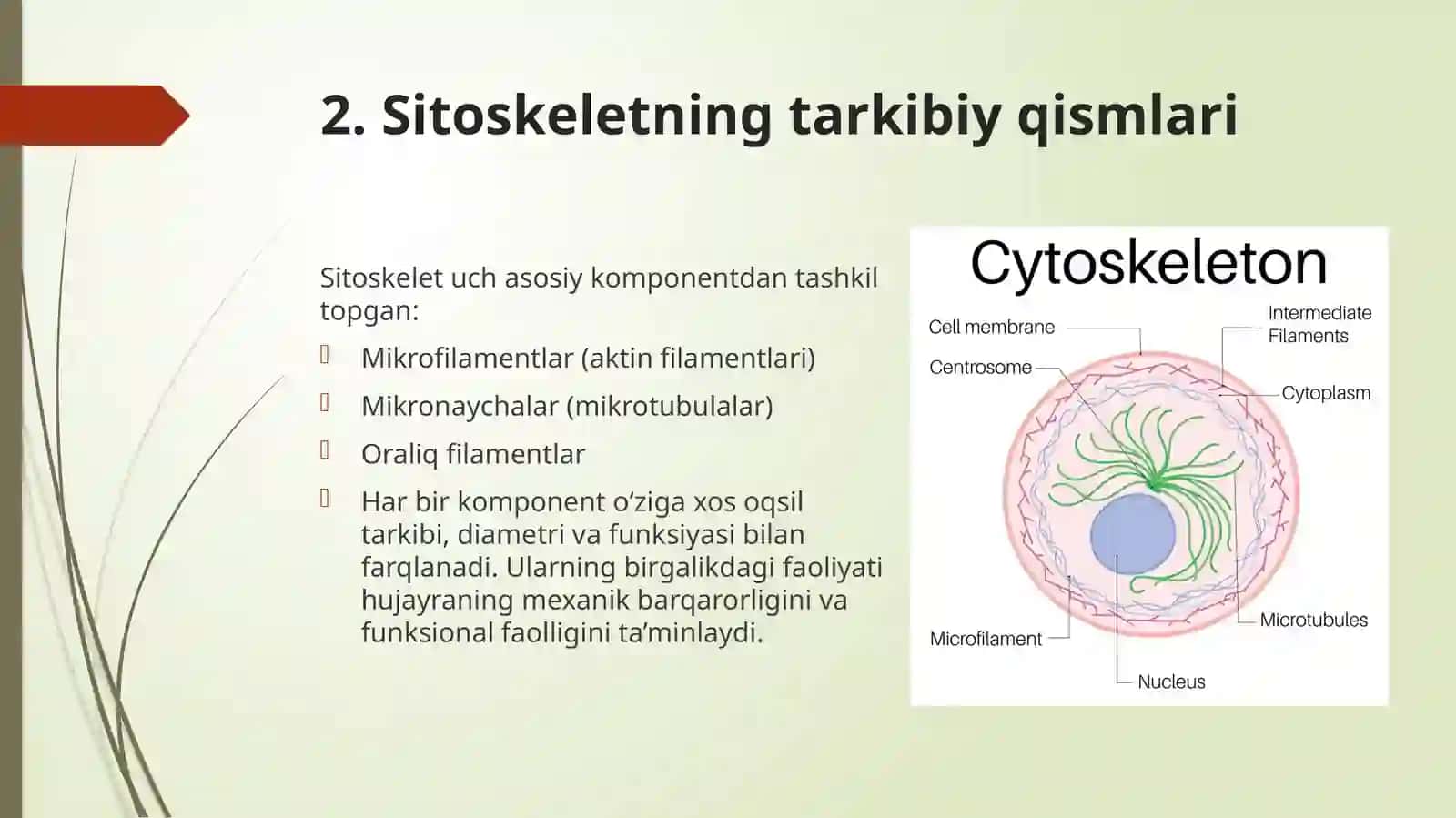 gistologiya 1-mavzu mustaqil ish  1-bosqich davolash fakulteti uchun 4