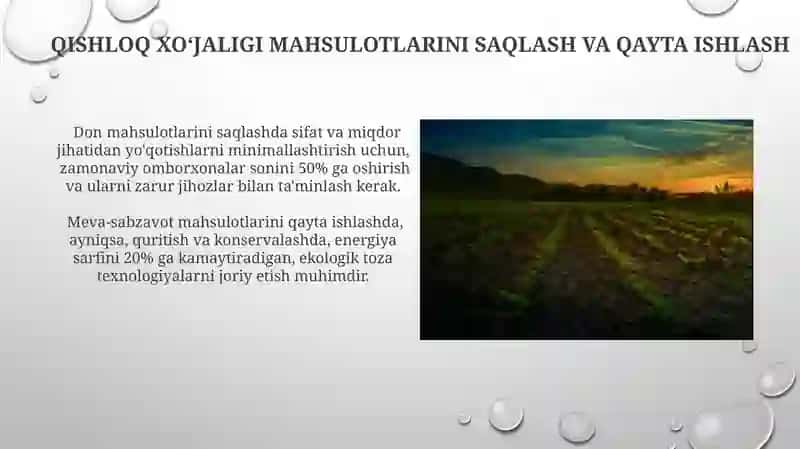Mineral oʻgʻitlar va kimyoviy vositalar 4