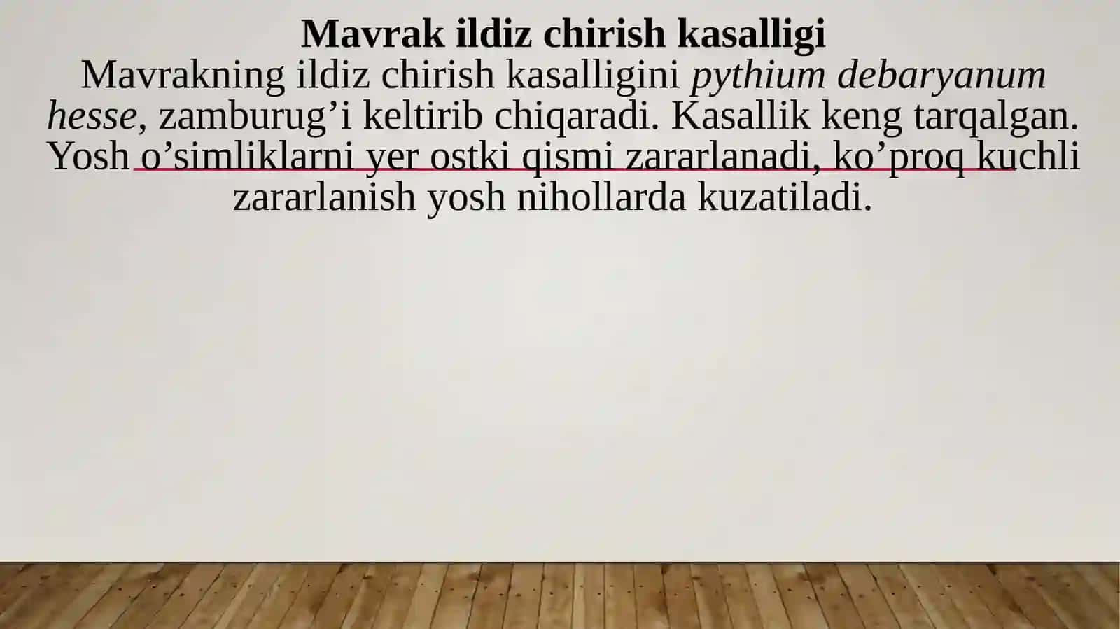 Mavrak o’simligi zararkunandalari va kasalliklari aniqlash haqda kurash choralarini o’rganish 4