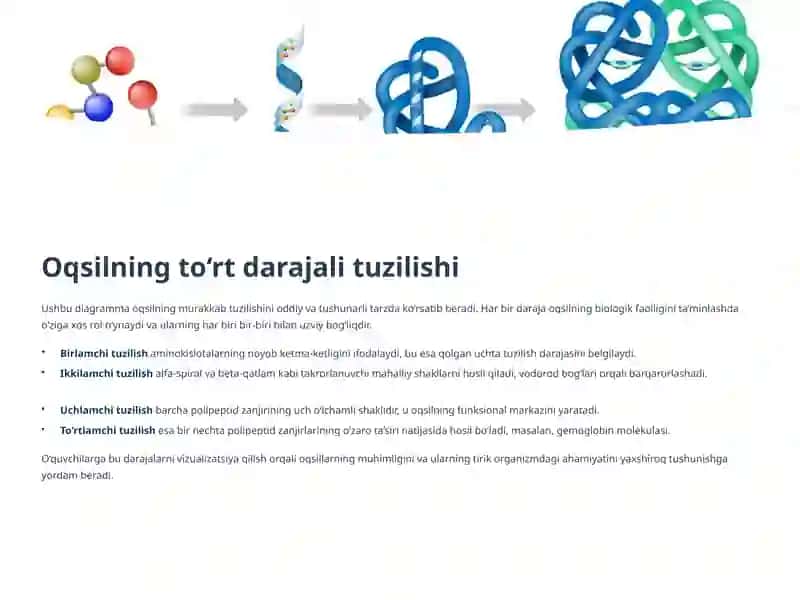 Aminokislotalar va Oqsillar: Ularning Xossalari va O‘qitish Metodikasi 4