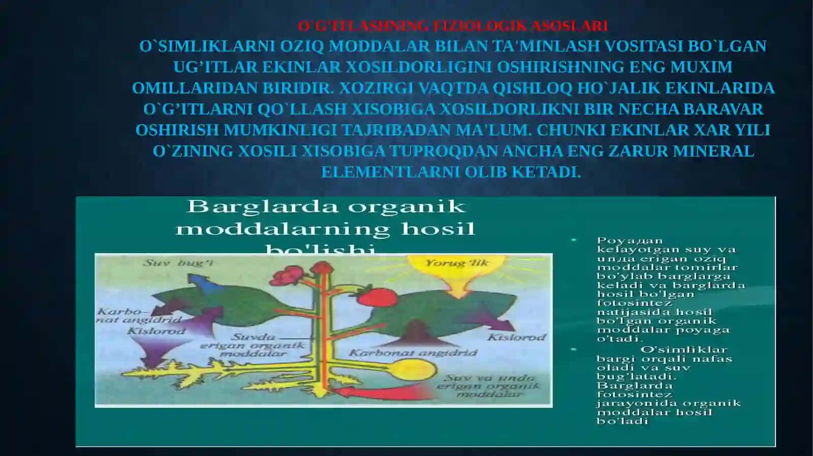 O`SIMLIKLAR MINЕRAL OZIQLANISH FIZIOLOGIYASI 4