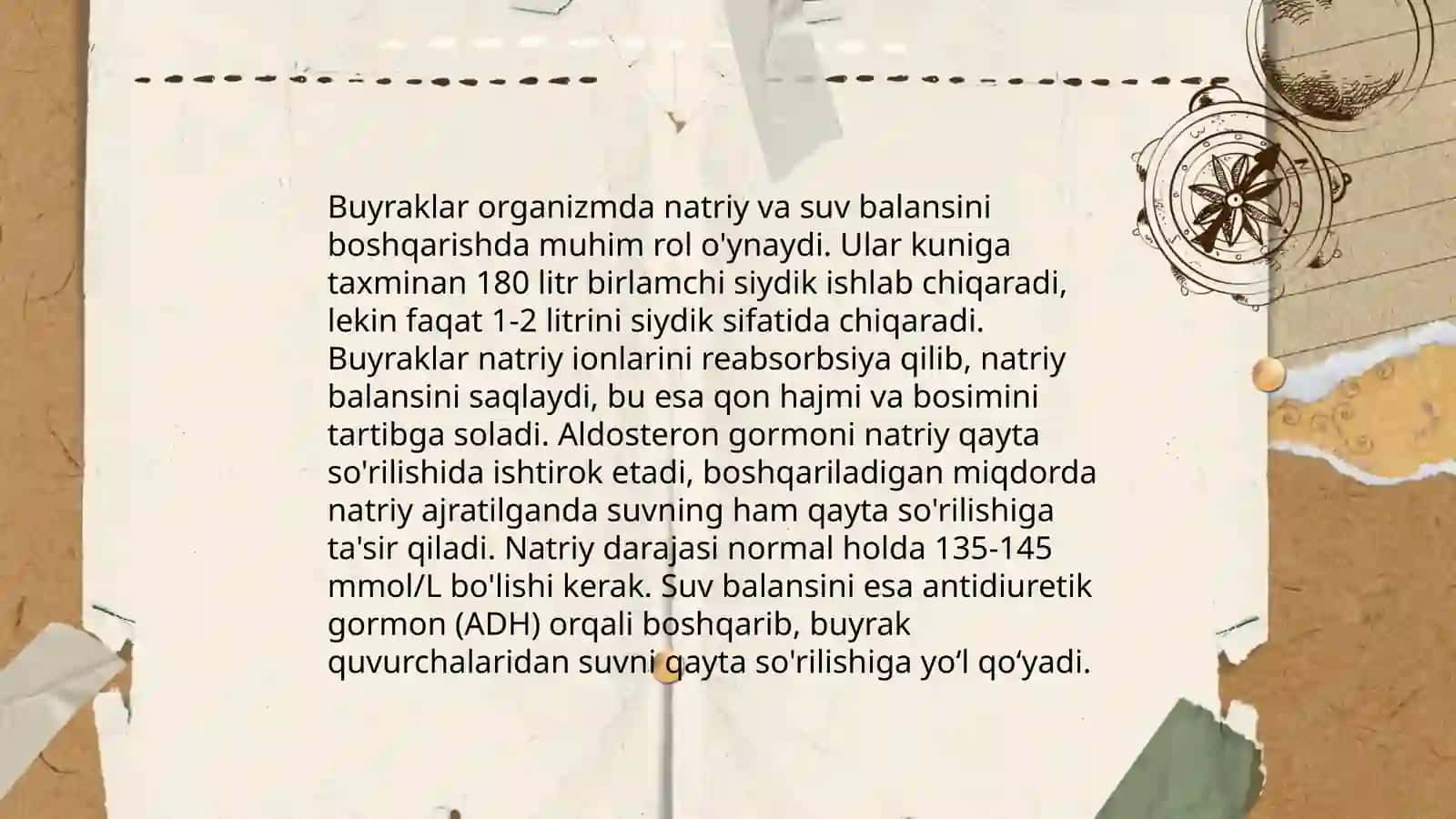 Arterial bosimning boshqariluvida buyraklarning roʻli 4