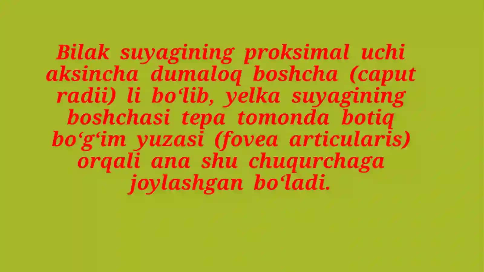 Yelka kamarisuyaklari va yelka suyagi bilakatlari 4