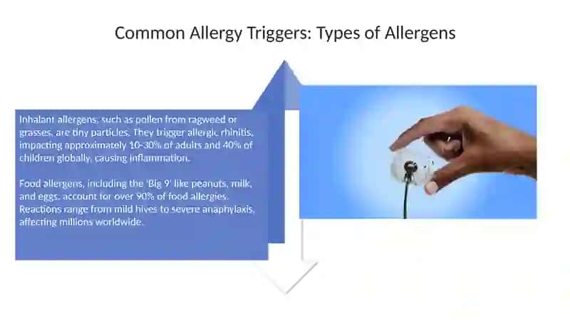 Allergiya 4