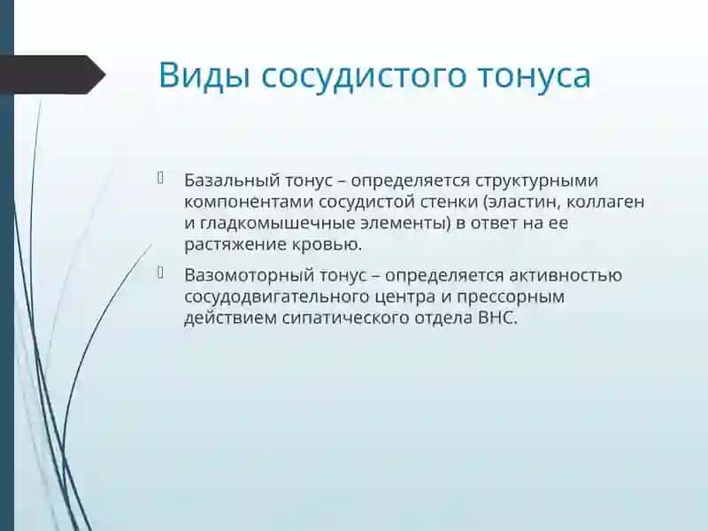 Патофизиология недостаточности сосудов 4