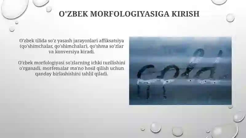 O'zbek tili morfemikasi va so'z yasalishi 4