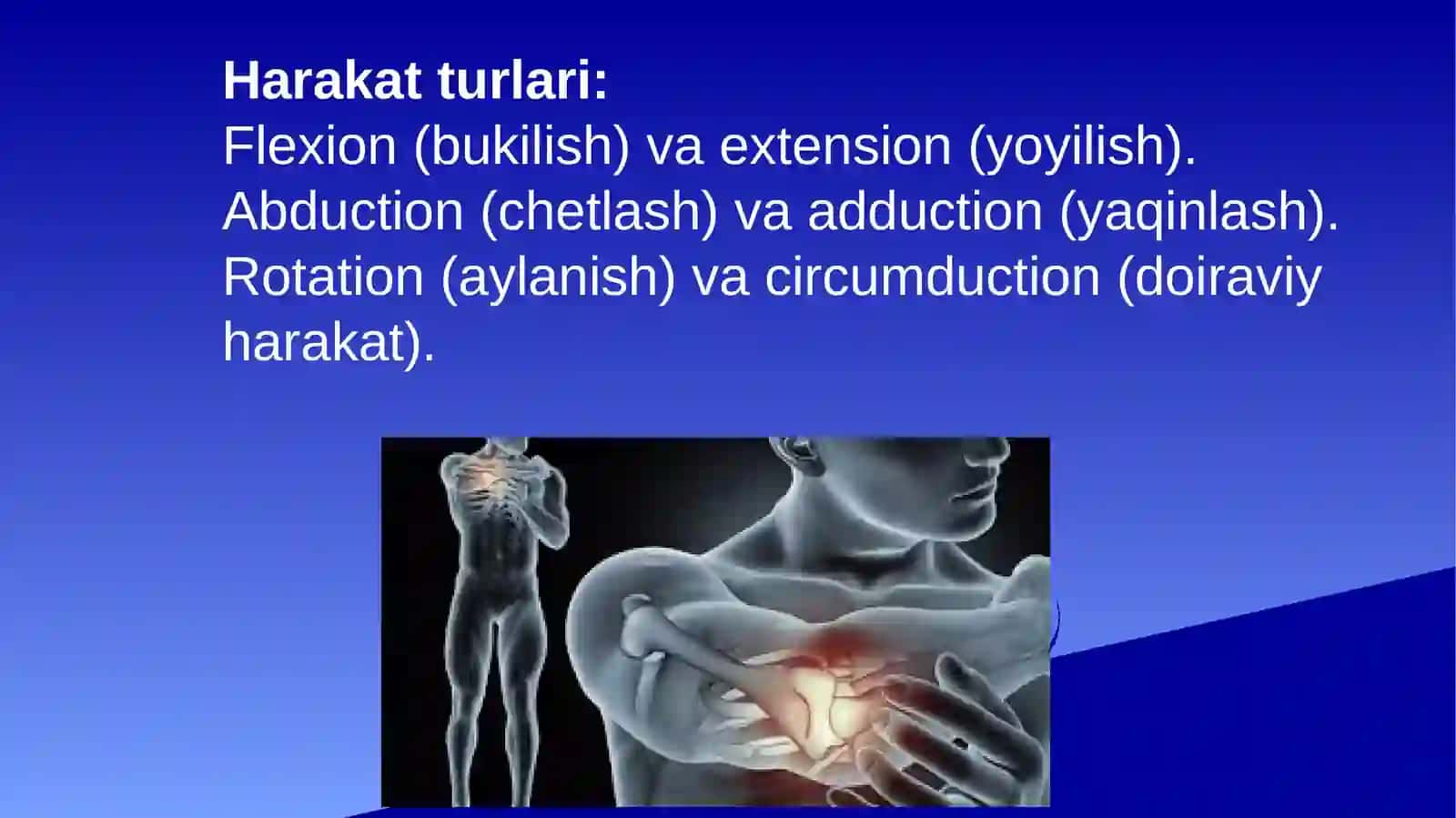 boʻgʻimlar biomexanikasi 4