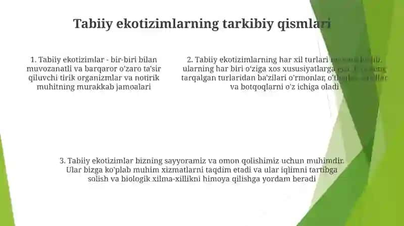 Tabiiy Ekotizimlar Tòĝrisida Mashĝulotlarni Òtkazish Metodikasi 4