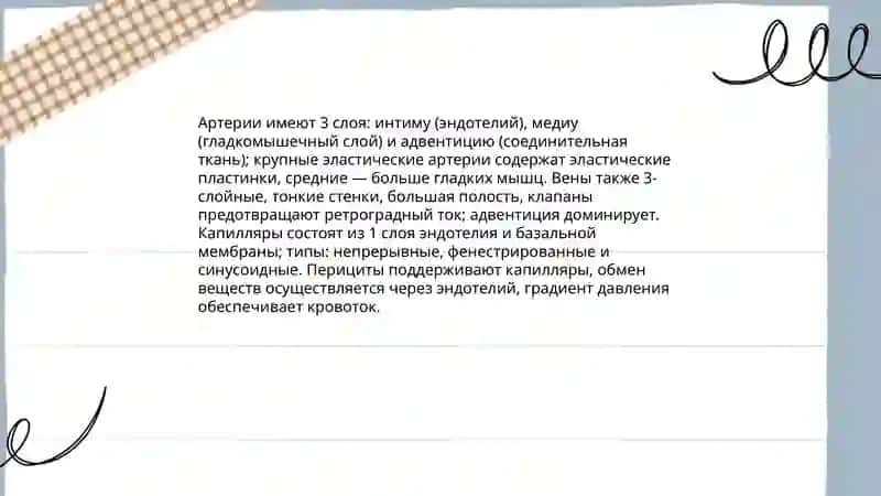 Система кровообращения 4