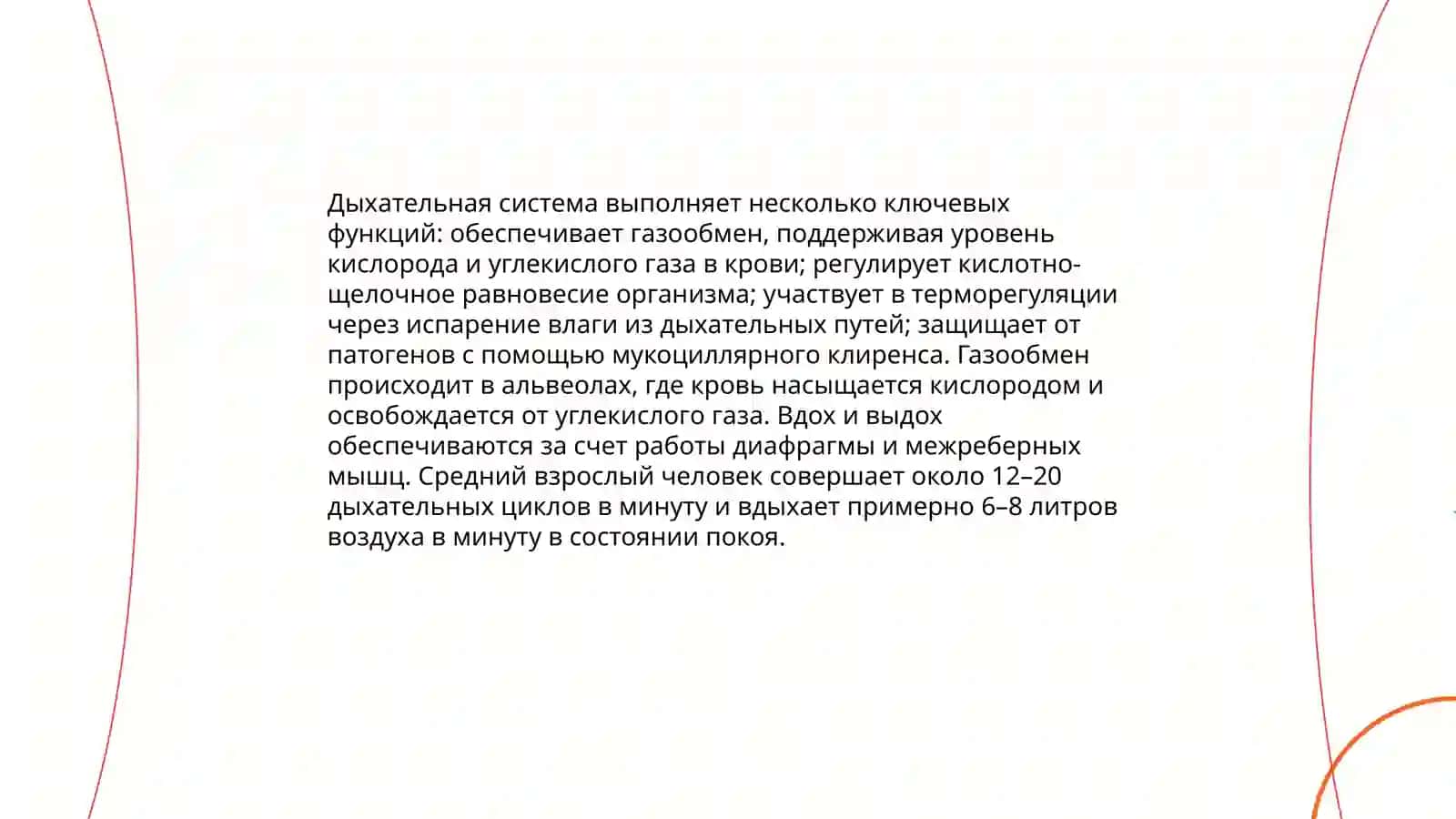 Дыхательная система человека 4