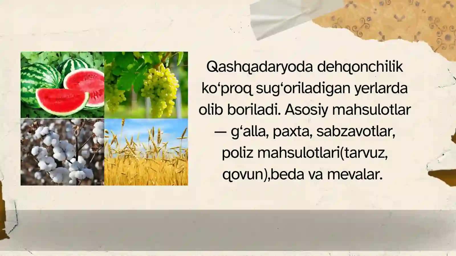 Qashqadaryo viloyati dehqonchiligi va uning hududiy tarkibi 4