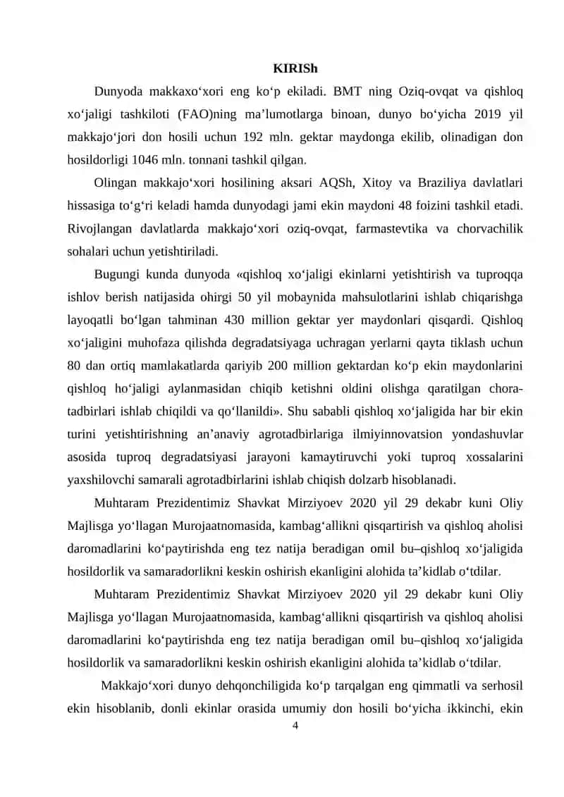 Makkajo'xori va Mineral O'g'itlarni Ta'sir qilish 4