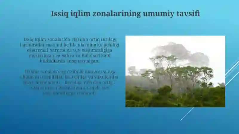 Issiq iqlim mintaqalarining tabiat zonalarida tirik organizmlarning tarqalishi 4