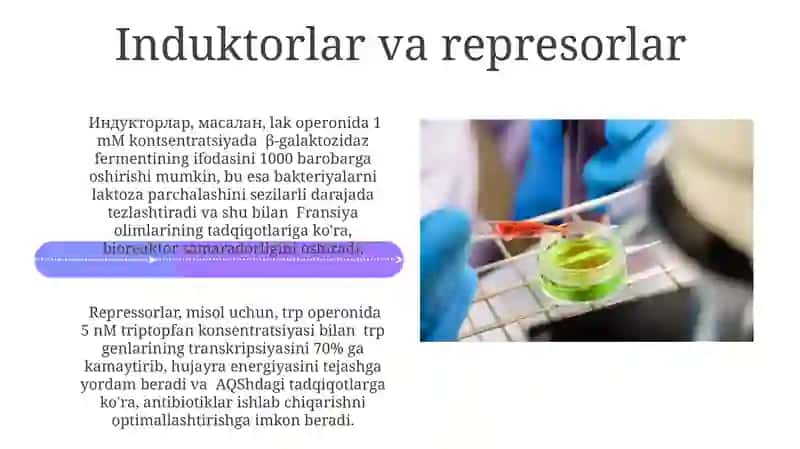 Bakteriyalarning holatini jadallashtirish usullarining fizikaviy kimyoviy biologik usullari 4