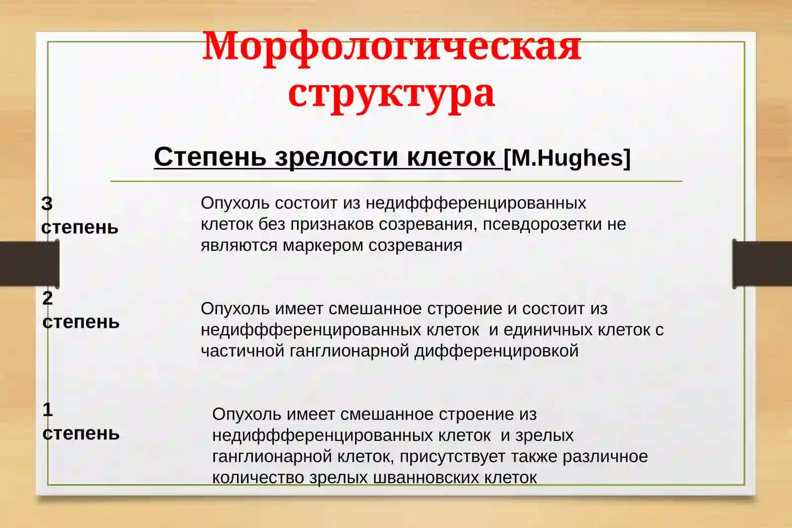 Нейробластома 4