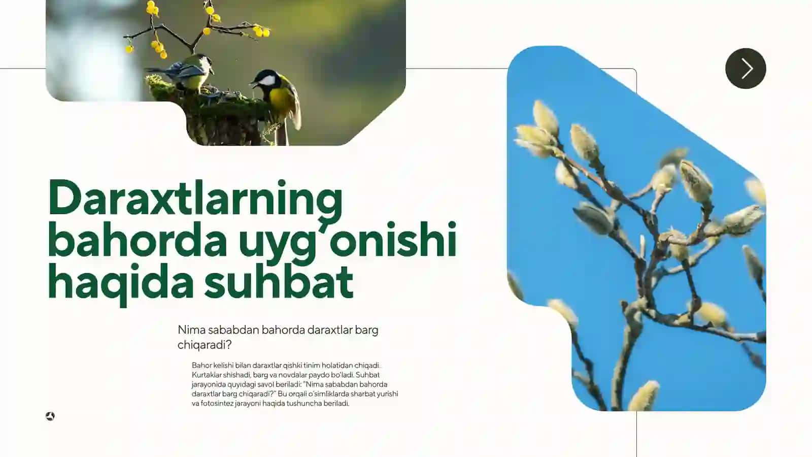BAHORDA DARAXTLARNING UYG‘ONISHI, HAYVONLAR VA HASHAROTLAR HAQIDA SUHBAT 4