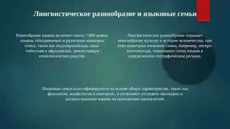 Мировые языки: классификация и распространение 4