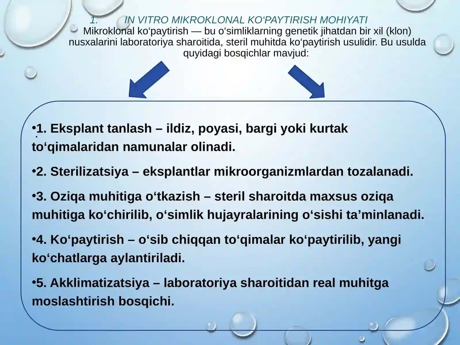 IN VITRO MIKROKLONAL KO'PAYTIRISH VA OZUQA MUHITINI TAYYORLASH 4