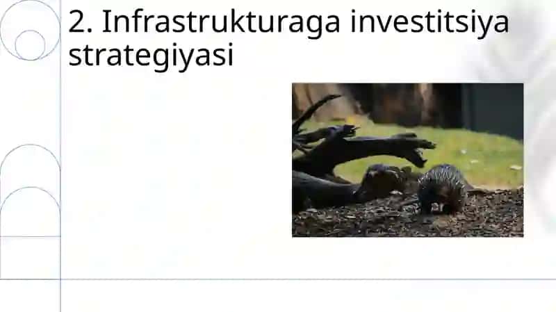 Australiyaning menejment sohasi siyosati iqtisodiy faoliyati 4