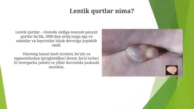 Tasmasimon chuvalchanglar odam parazitlari 4