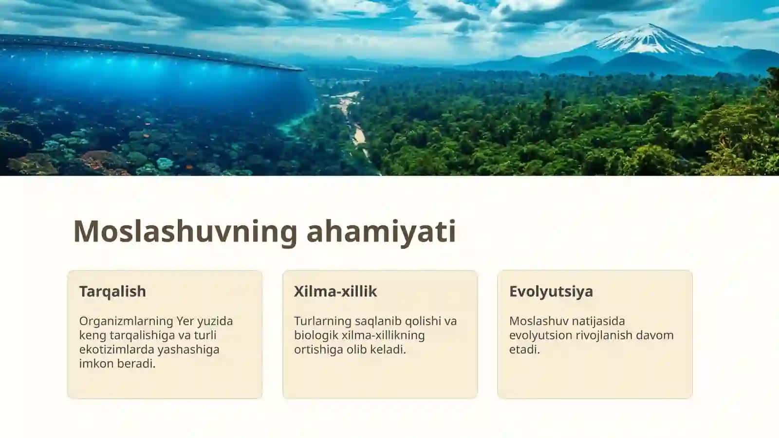 Moslashuvning mohiyati 4