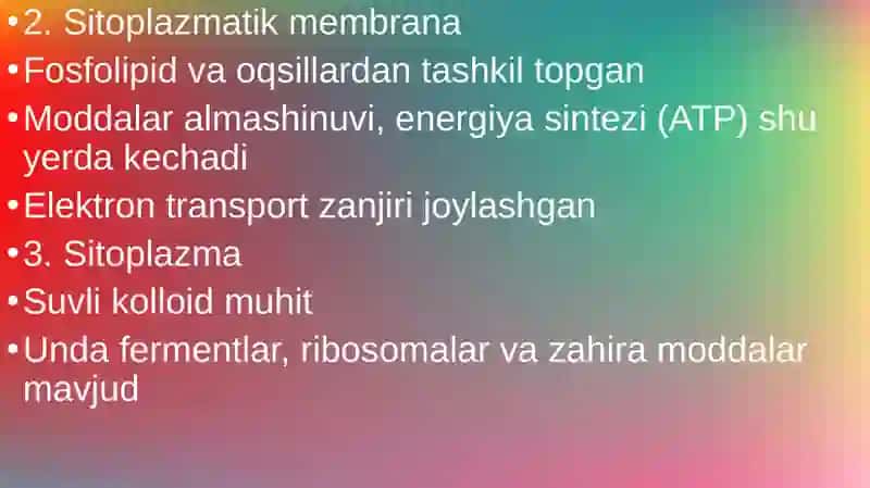 Bakteriya hujayrasining tuzilishi va kimyoviy tarkibi tuzilishi 4