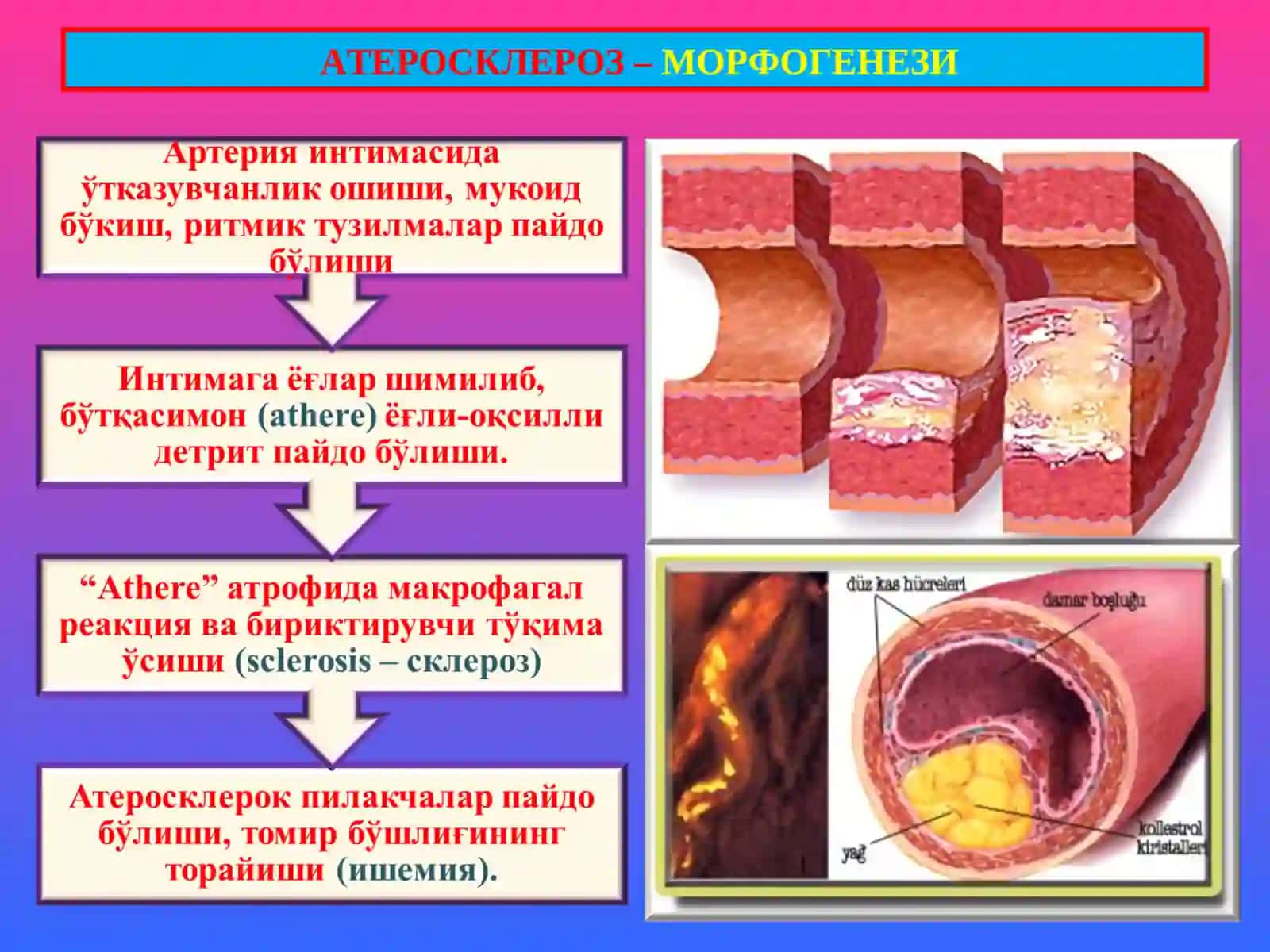 PATOLOGIK ANATOMIYA 2-mavzu 2024-2025 4