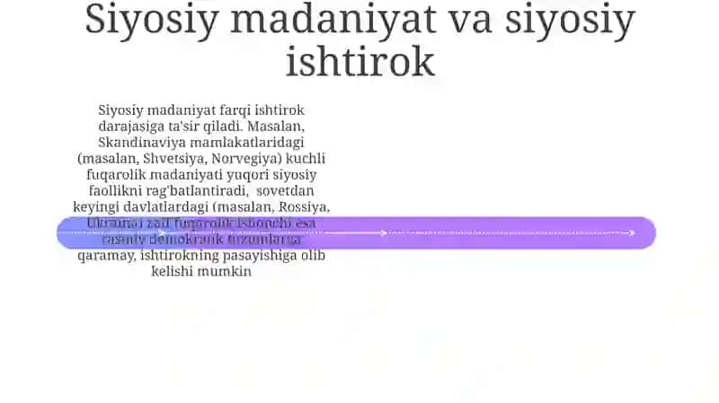 Siyosiy madaniyat va siyosiy ishtirok 4