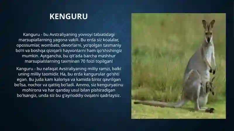 Avstraliya tabiatining o'ziga xos xususiyatlari 4