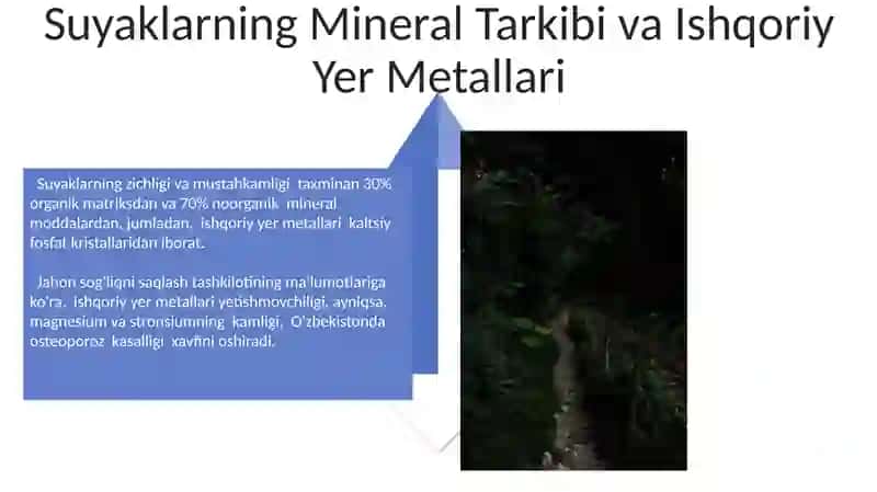 Ishqoriy metallarning biologik ahamiyati 4